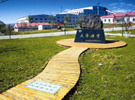 云浮天华矿业集团